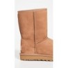 Bottes UGG Classic Short II | Confort Supérieur